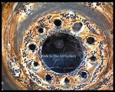 Yellow Burst I Stripped Tiger